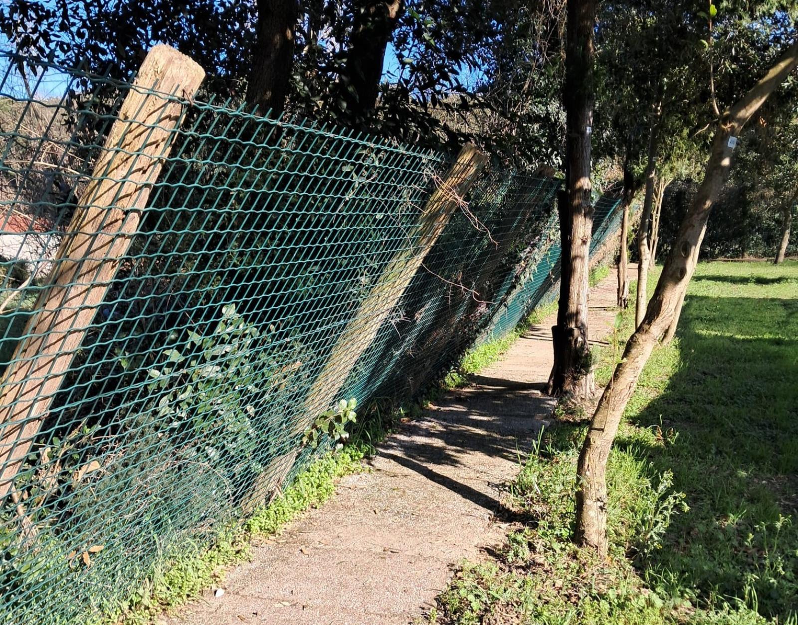 Canile, la recinzione  &egrave; pericolante