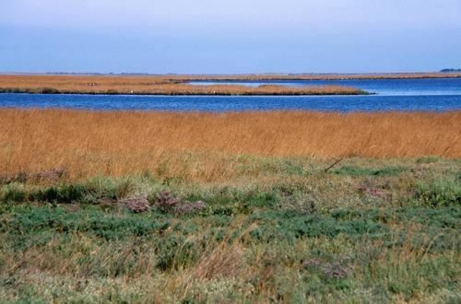 La Marcia dell'Asparago torna in Valle Millecampi