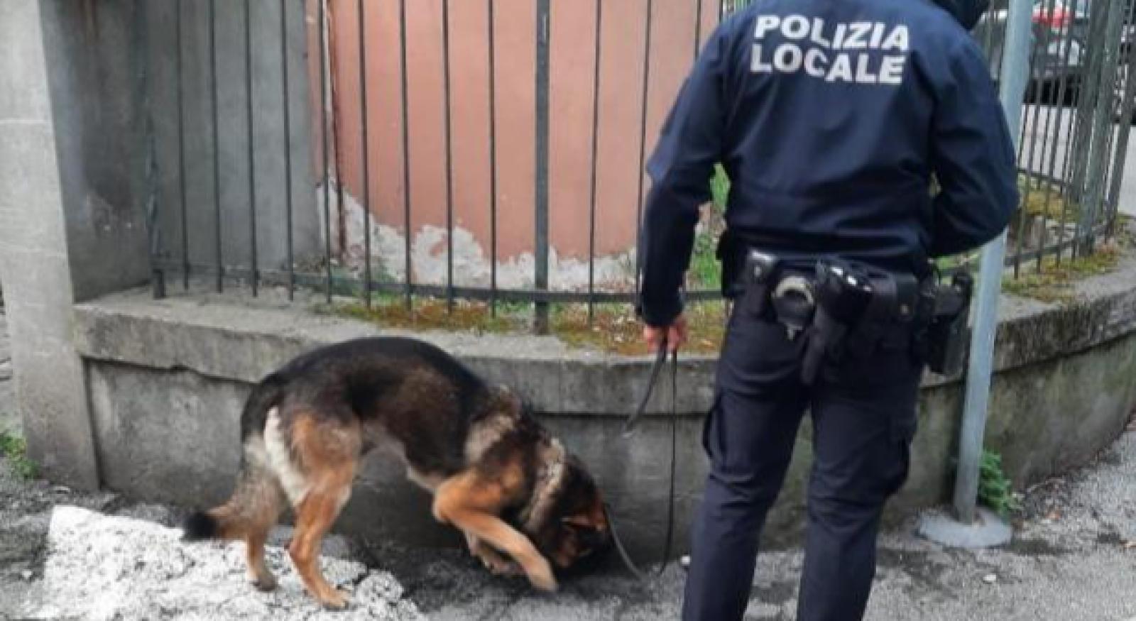 Oltre 400 grammi di droga sequestrati: