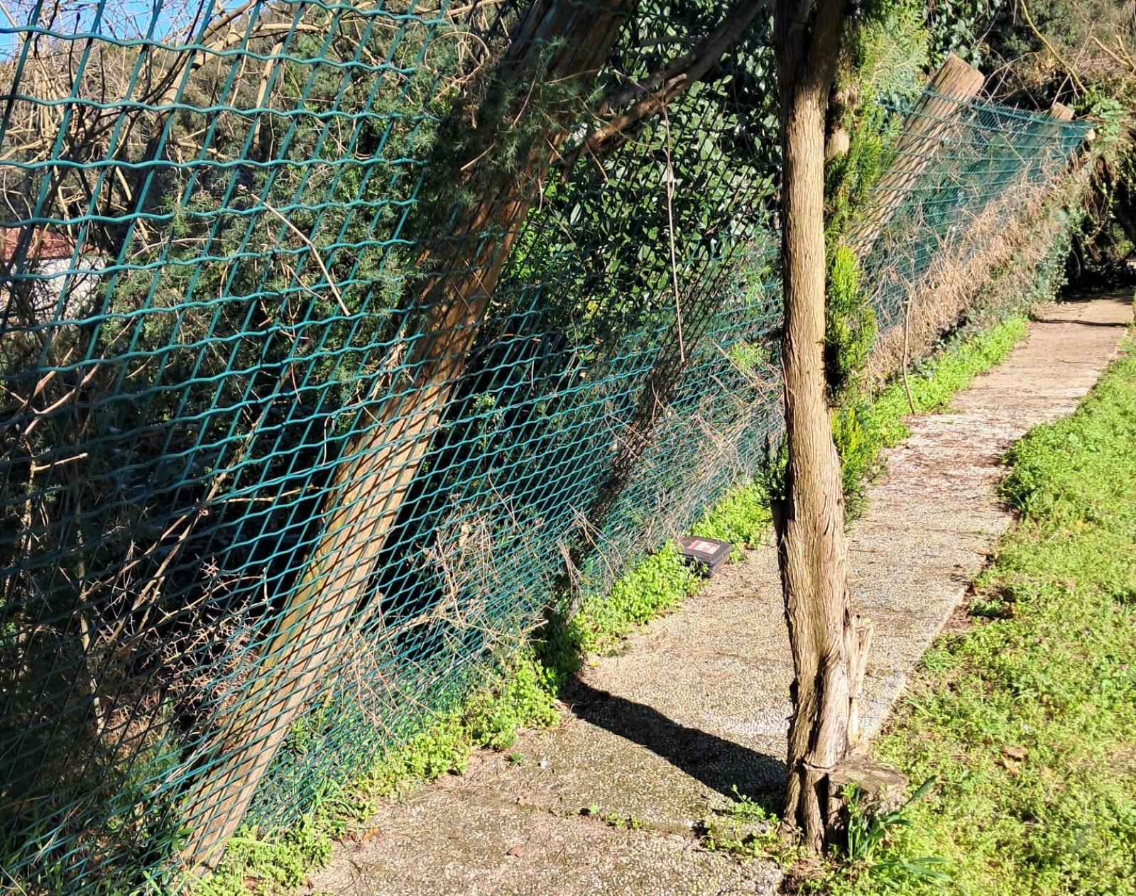 Canile: &ldquo;Animali a rischio fuga&rdquo;