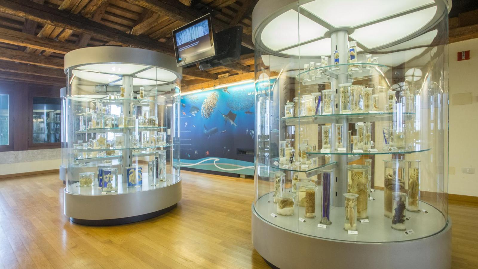 L&rsquo;universit&agrave; rimarr&agrave; in centro: accordo verso il rinnovo