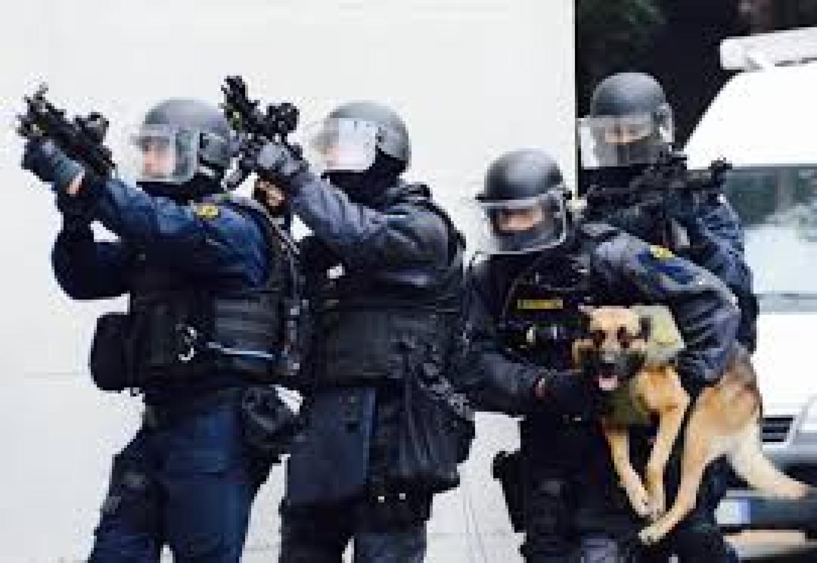 Massiccio spiegamento di forze: operazione antiterrorismo al porto