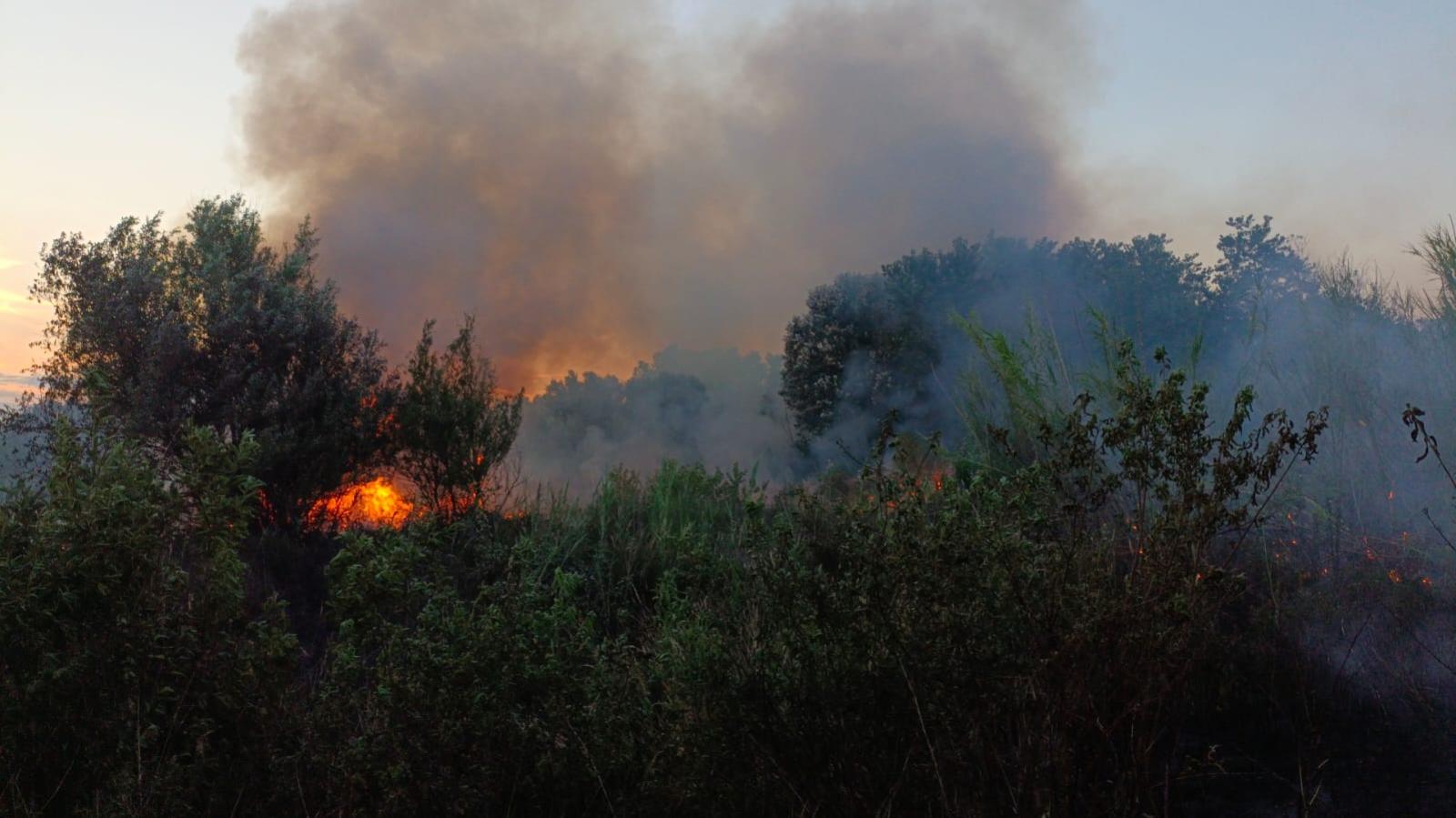 Incendio boschivo a Isola Verde, bruciati circa 40mila mq