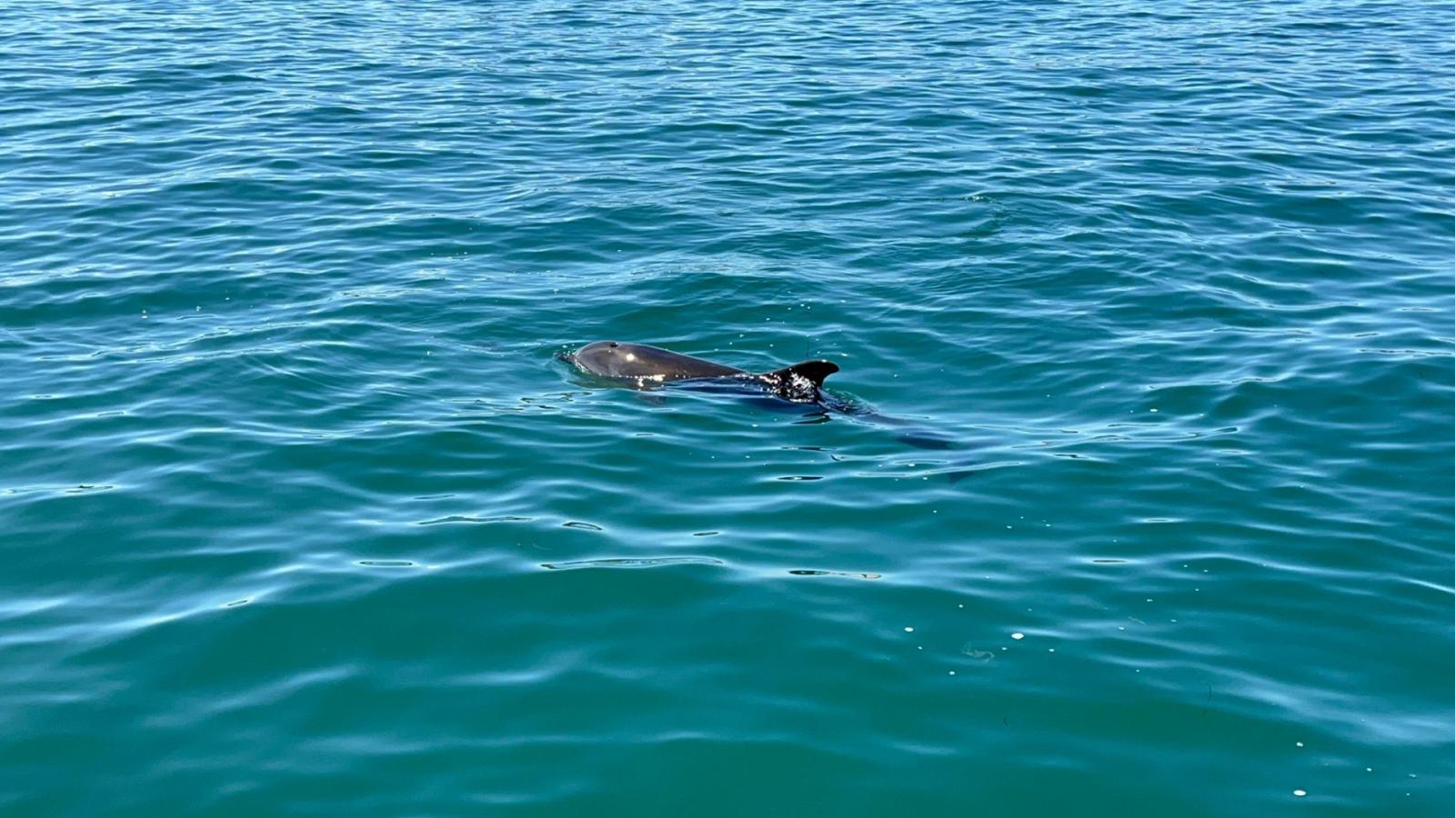 Clodio incanta la laguna 