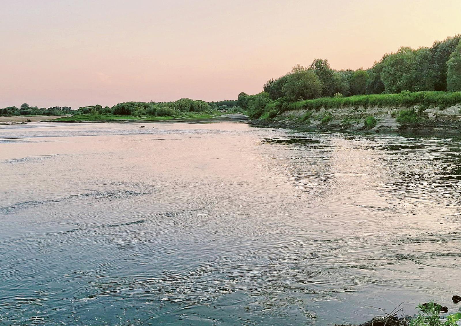 Contro il sale arrivano le piante