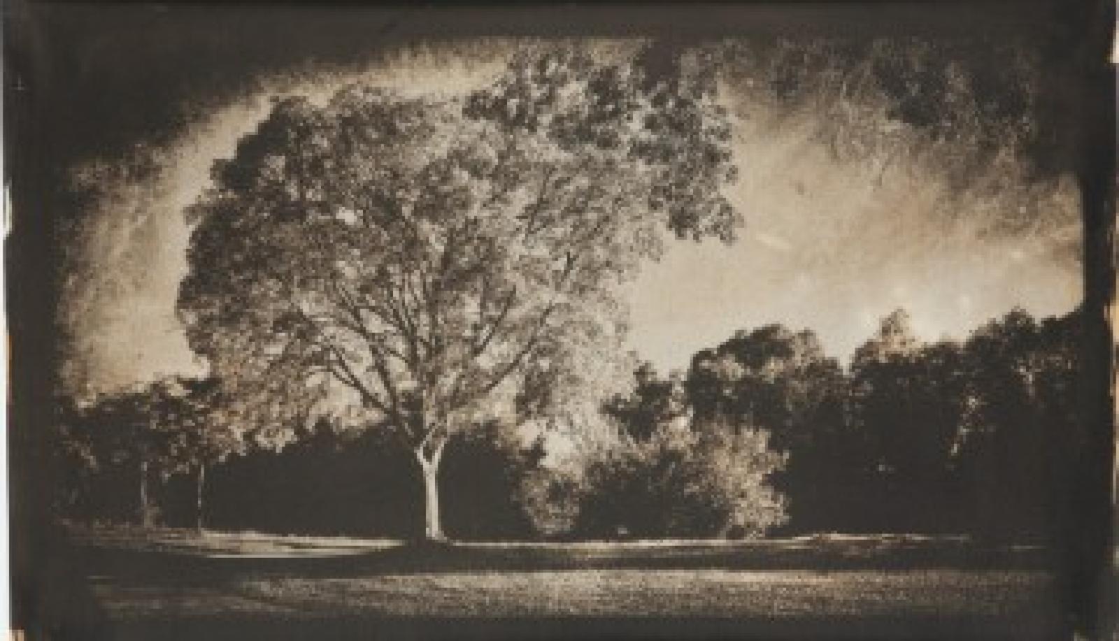 Dalla foto all&rsquo;immaginifico la personale di Zuin