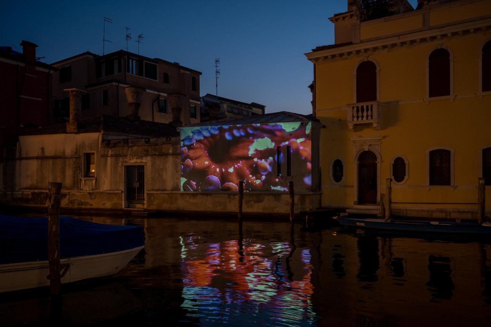 Cala il sipario su &ldquo;Bogiaisso&rdquo;