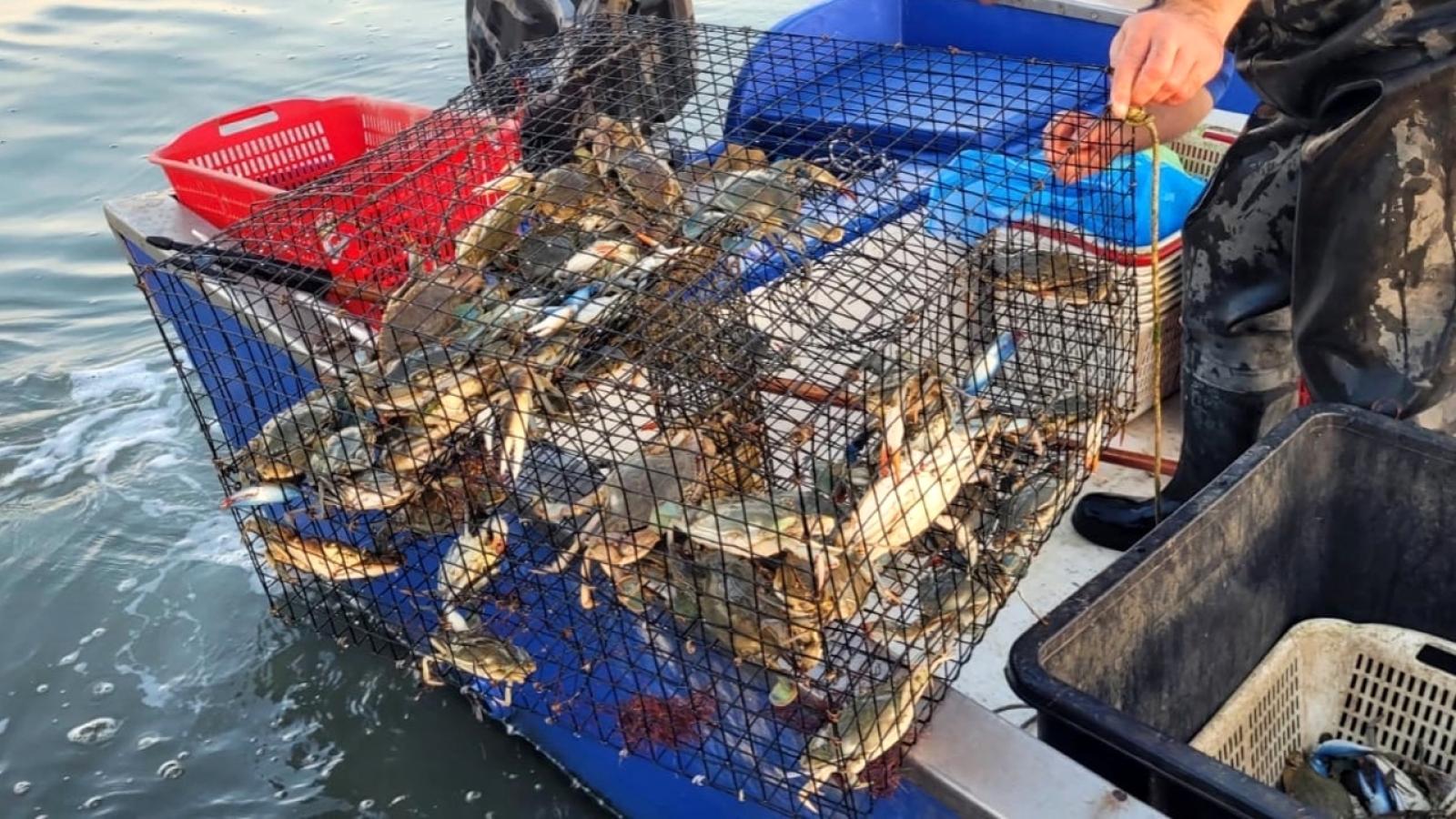 Pesca italiana sotto assedio