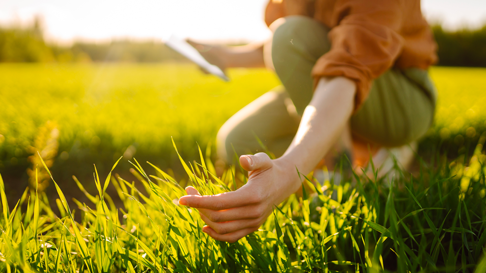 Servizio Civile Universale 2025: 2.098 posti disponibili tra progetti agricoli, ambientali e autofinanziati