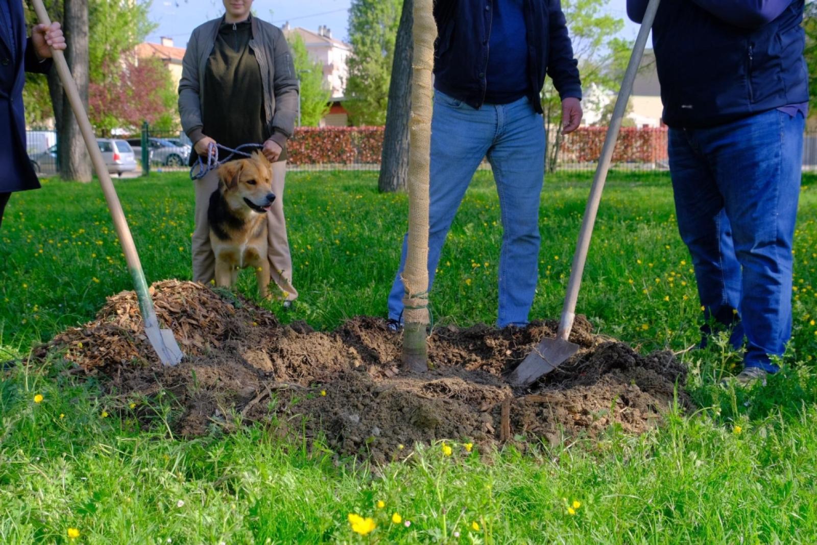 Cittadini protagonisti del verde: il Comune distribuisce oltre mille alberi