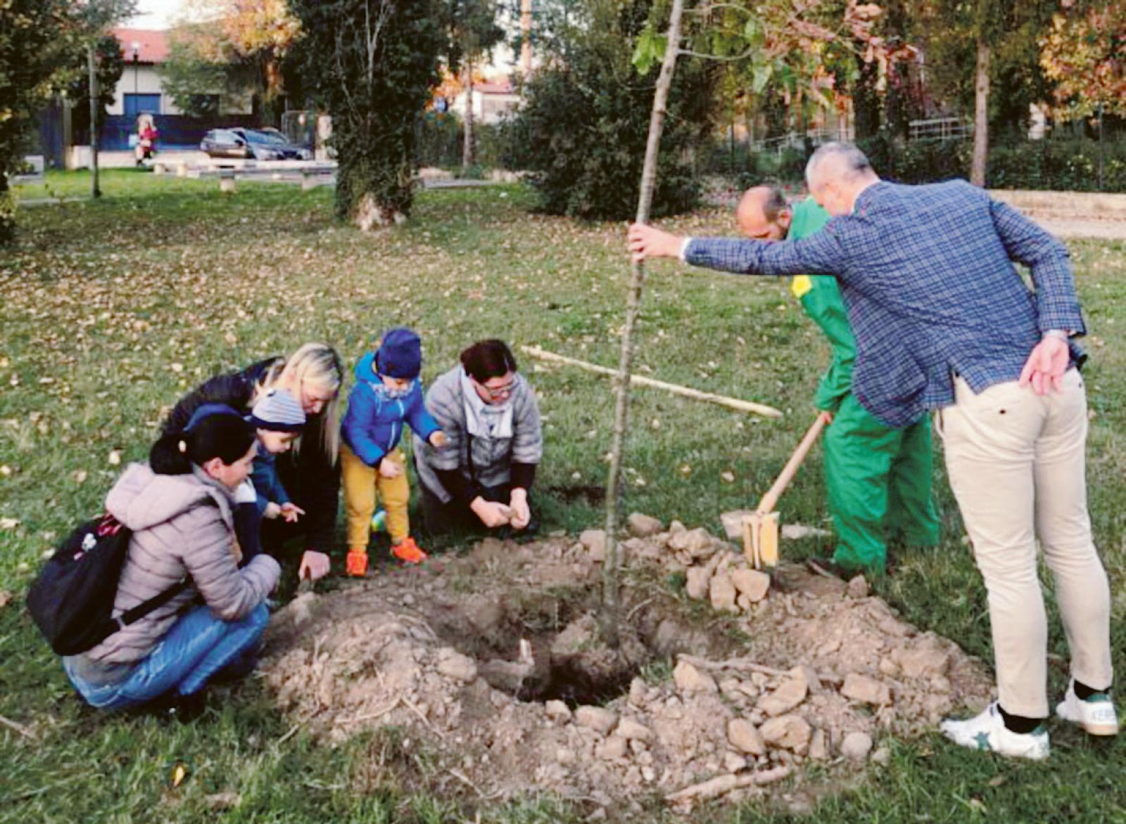 In citt&agrave; arrivano quasi 700 piante