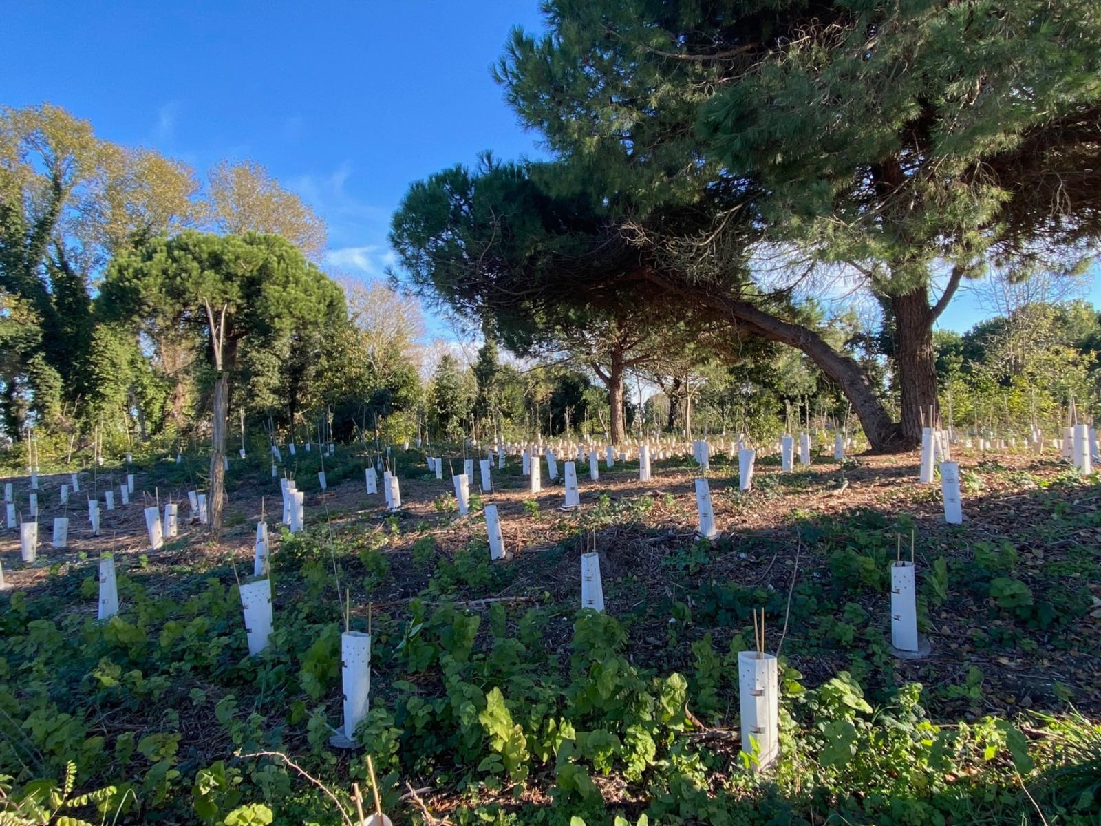 Forte: i lavori ancora fermi 