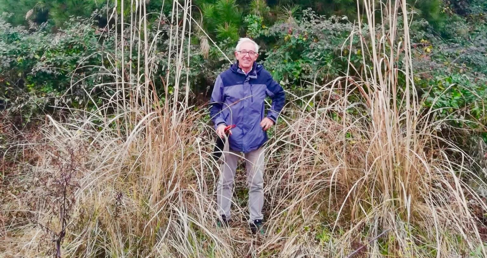 Dall&rsquo;oasi scompare la canna