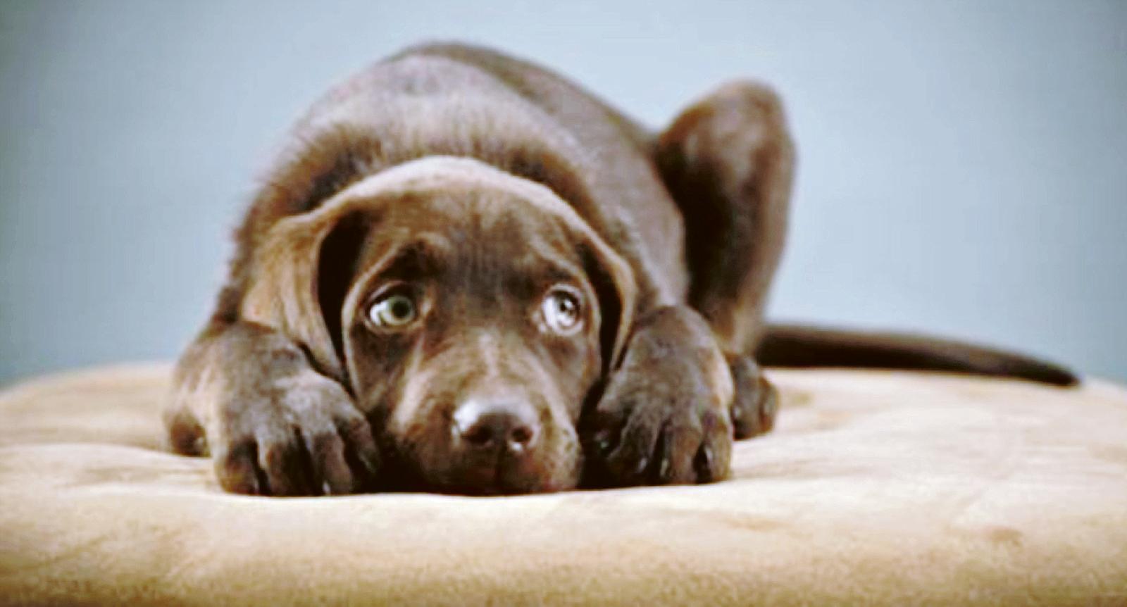 Botti: invito alla responsabilit&agrave;