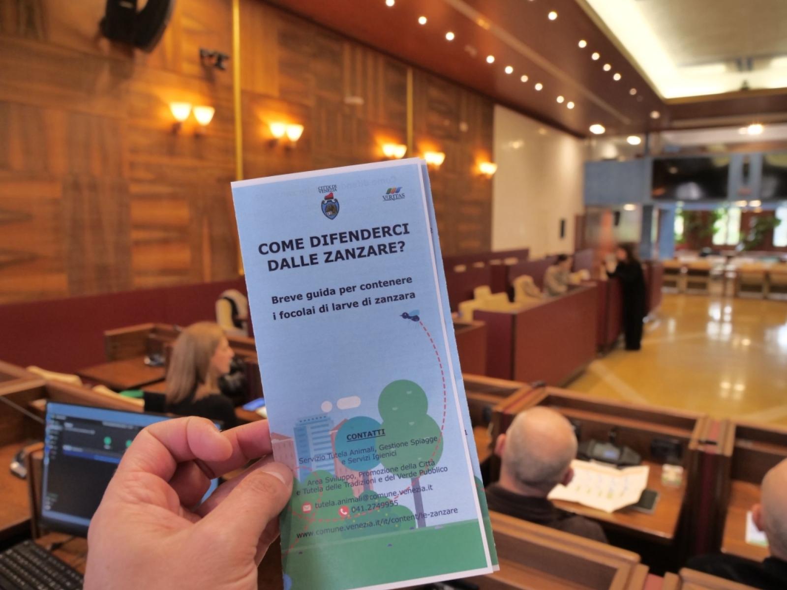 Venezia, parte la campagna contro le zanzare