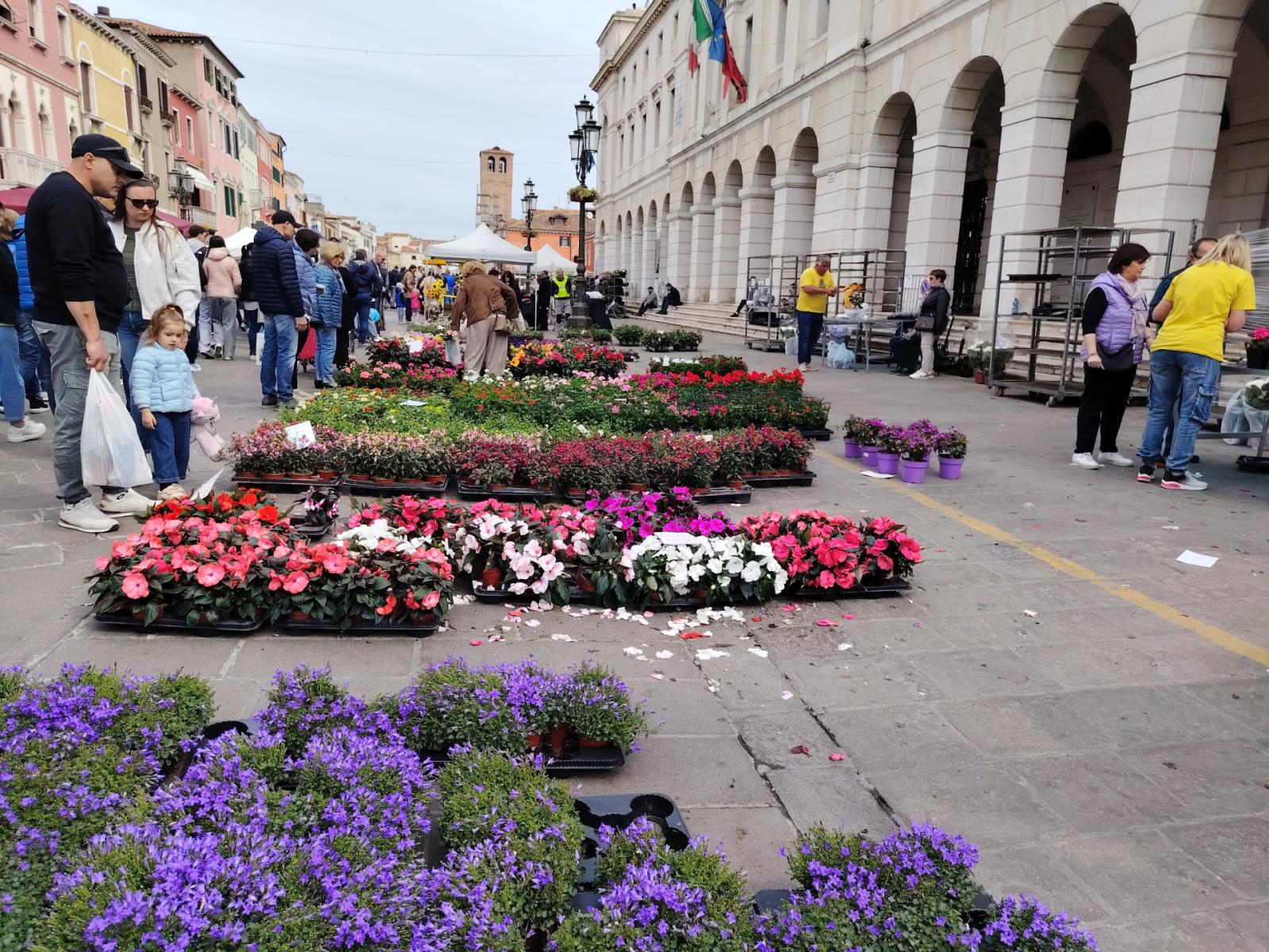 Un giardino lungo il Corso &egrave; la magia della citt&agrave; in fiore
