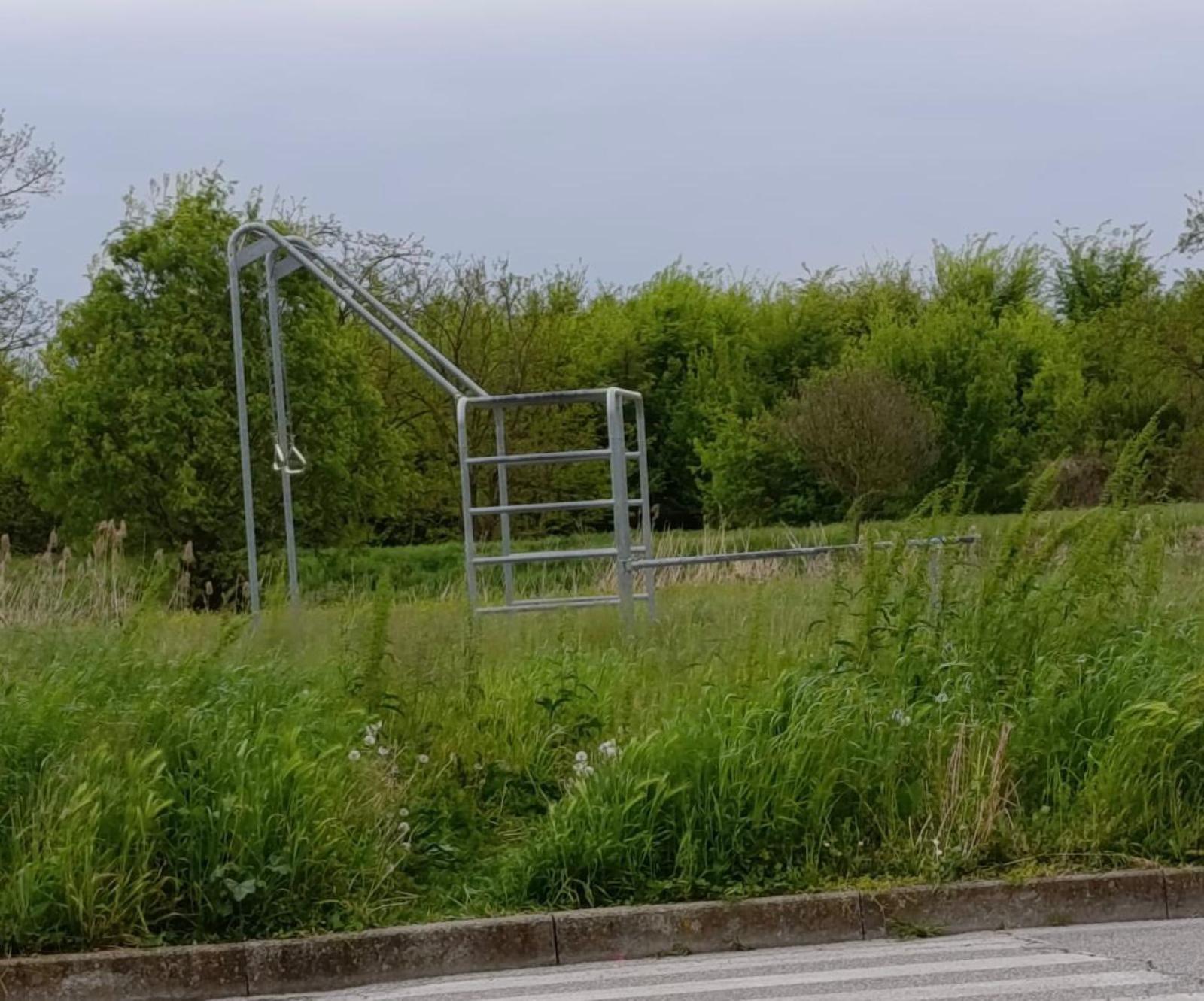 Erba alta in tutta la citt&agrave;: il Pd all&rsquo;attacco della giunta