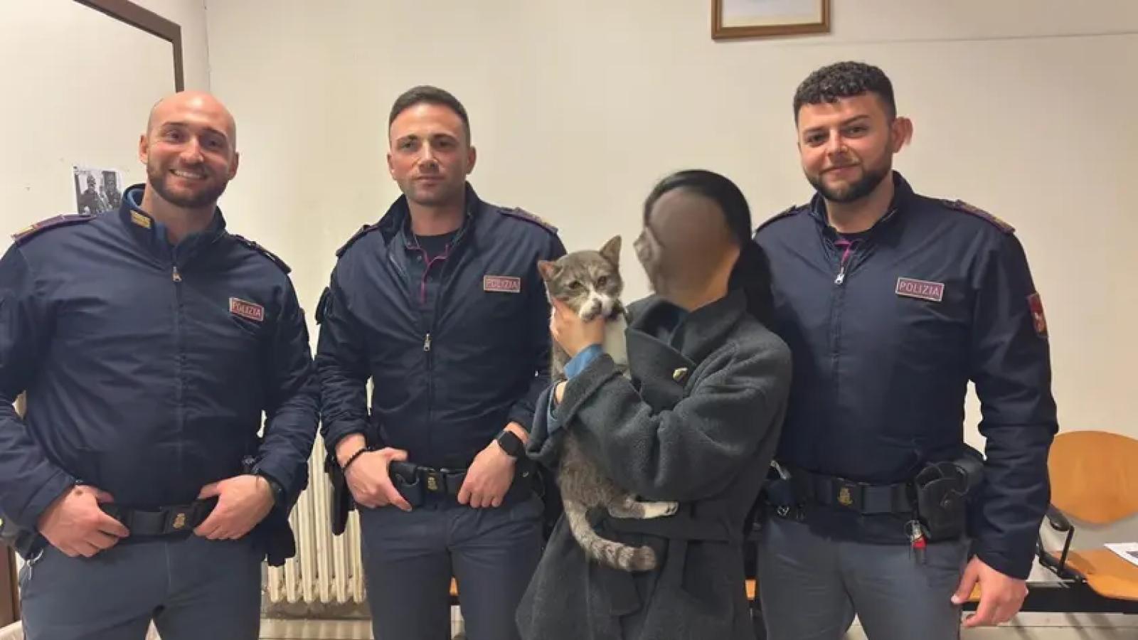 Rubano dall'auto,  portato via anche il gatto