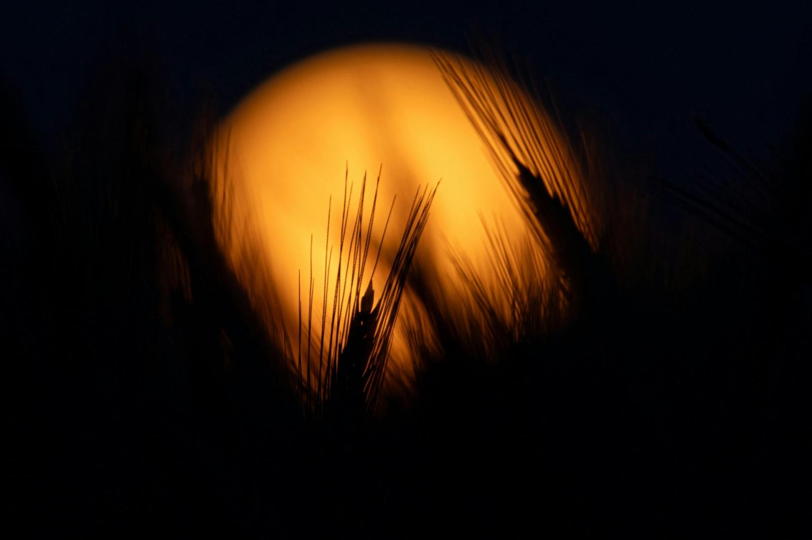 Il Veneto porta il cibo fino alla Luna