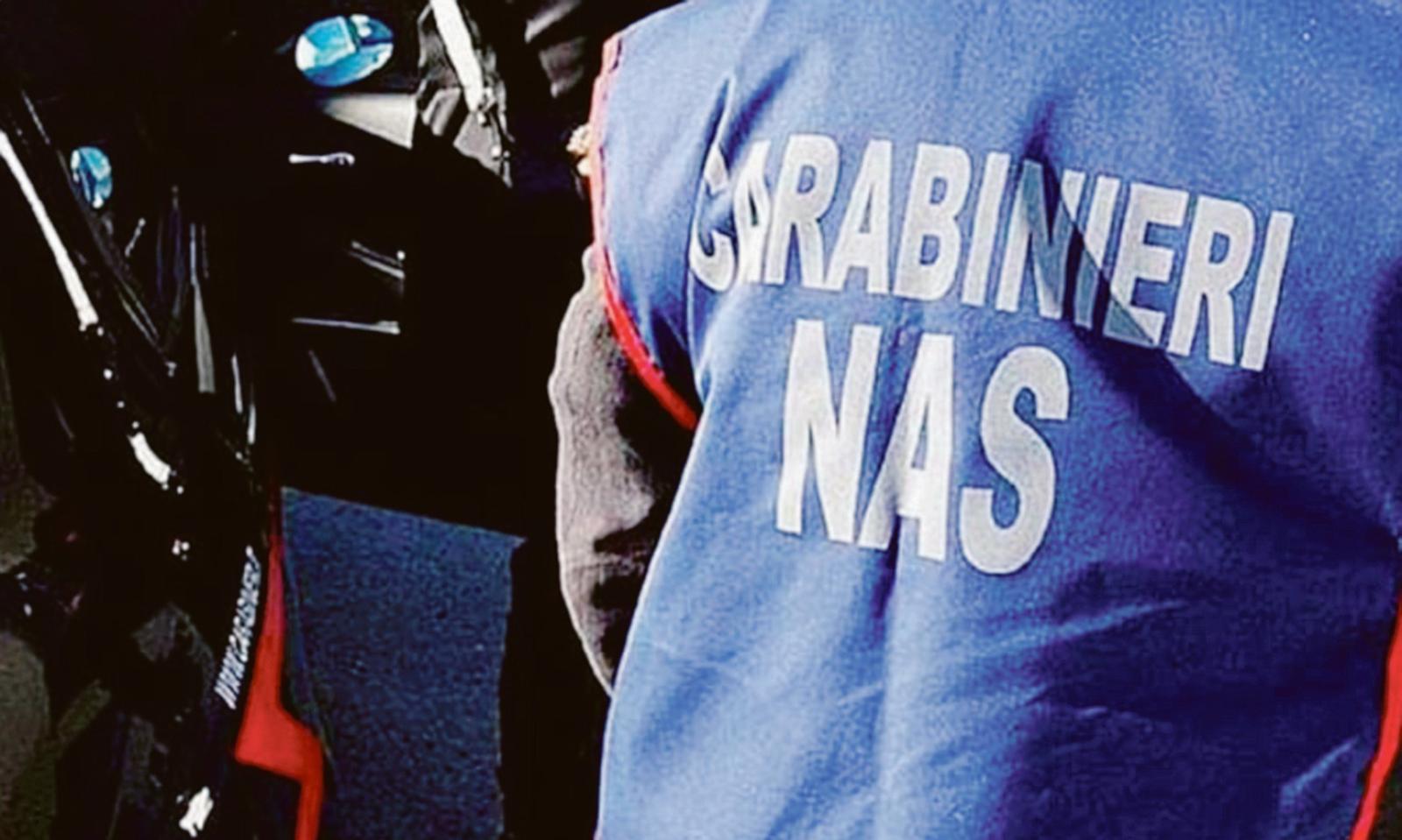 Traffico illecito di farmaci dopanti, perquisizioni anche a Venezia