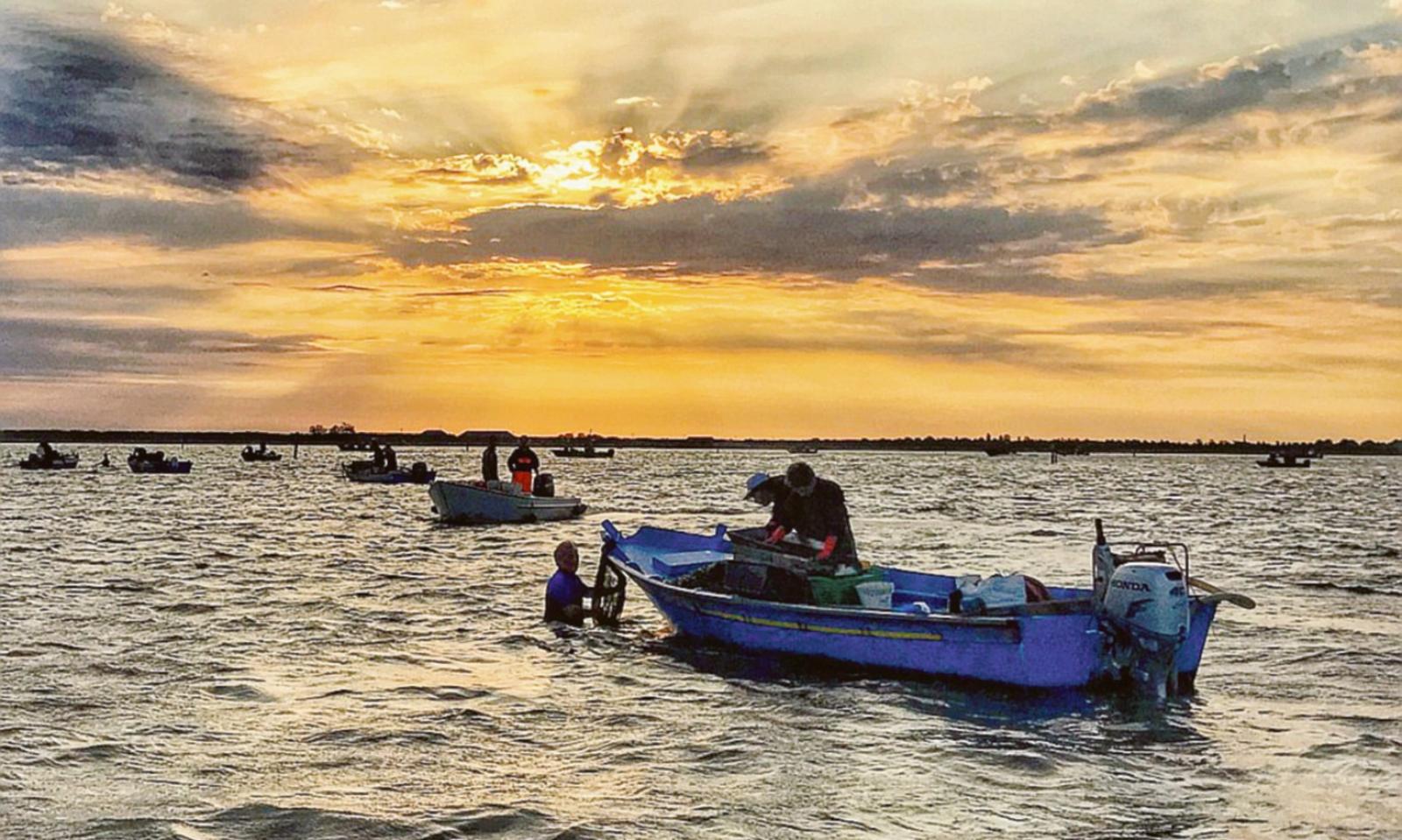 Bilancio regionale: fondi mirati per agricoltura, pesca e tutela ambientale