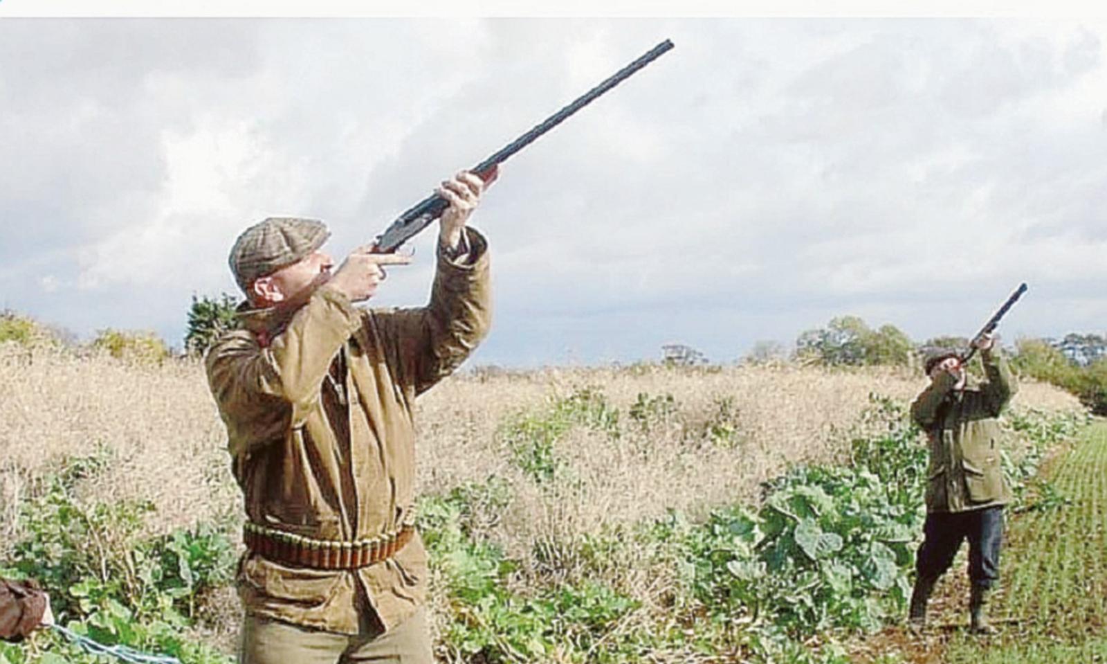 Veneto, chiusura anticipata della caccia per alcune specie acquatiche e migratorie