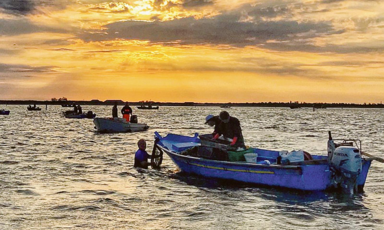 Bandi Feampa, la Regione Veneto proroga i termini