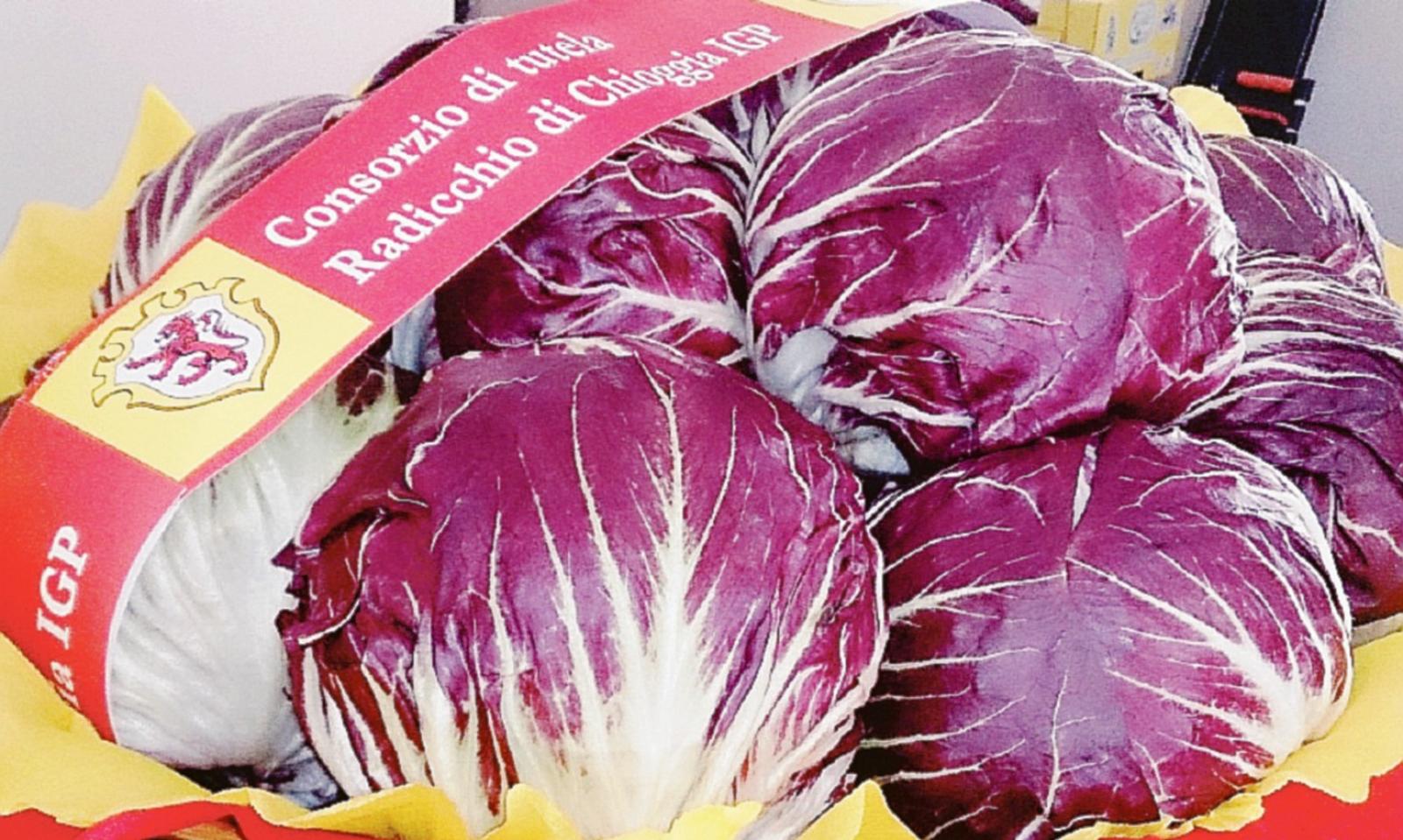 Radicchio, i prezzi non coprono i costi