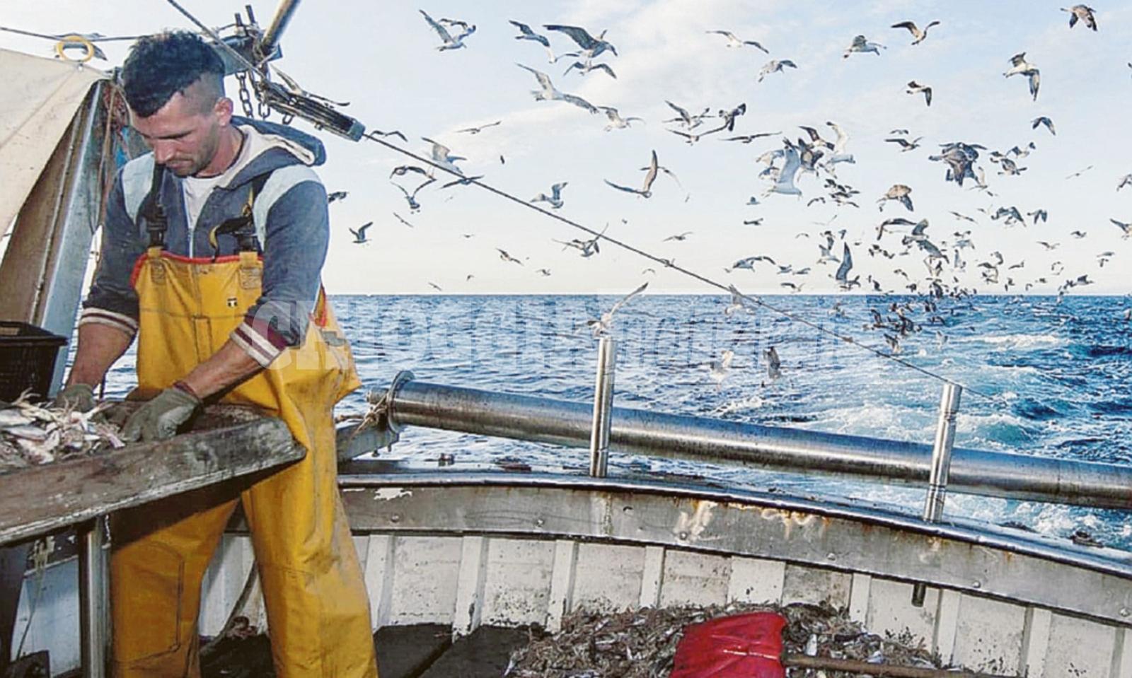 Stati generali, Armelao: &ldquo;Sar&agrave; la riscossa della pesca&rdquo;