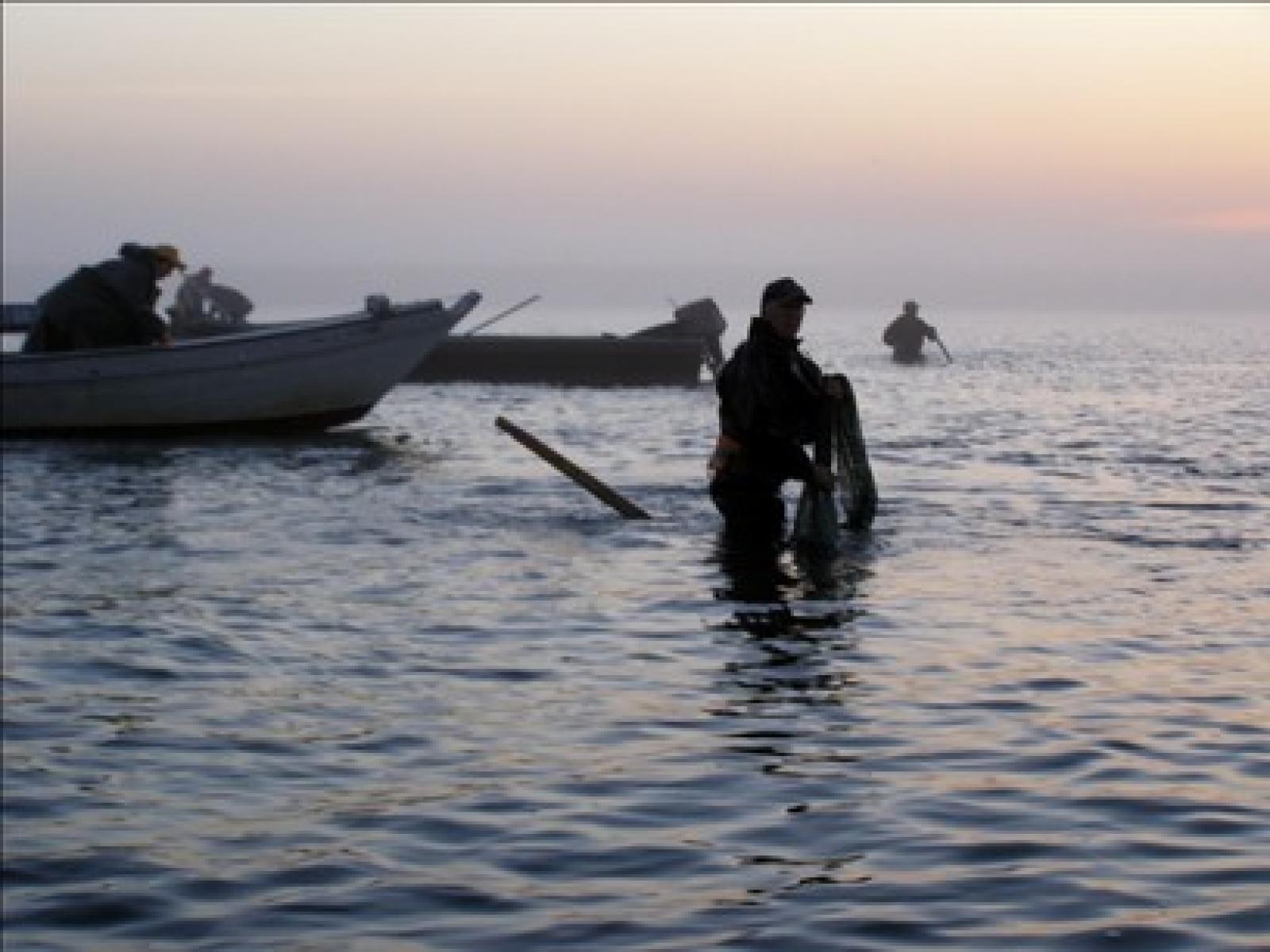 Ittica locale eccellenza italiana