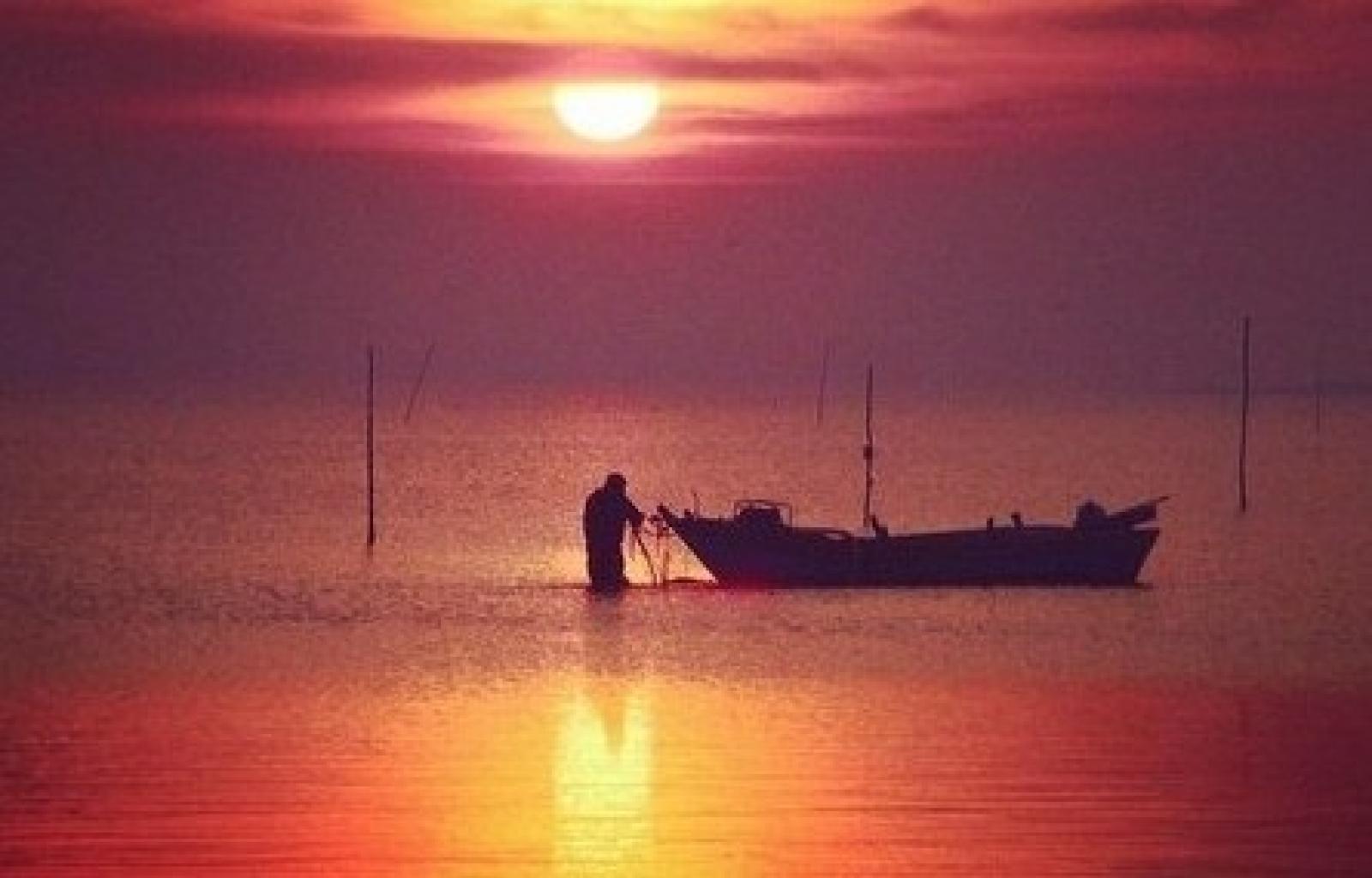 foto parco del delta del po mab (2).JPG