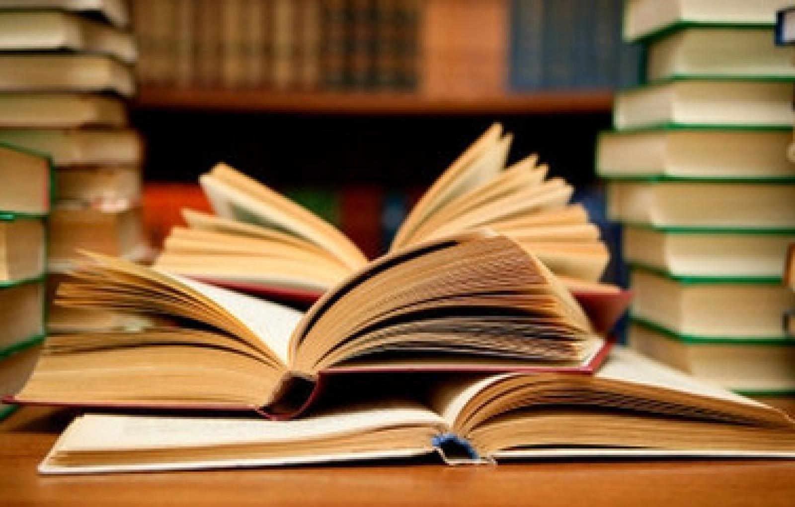 &ldquo;Piazziamoci un libro&rdquo; continua