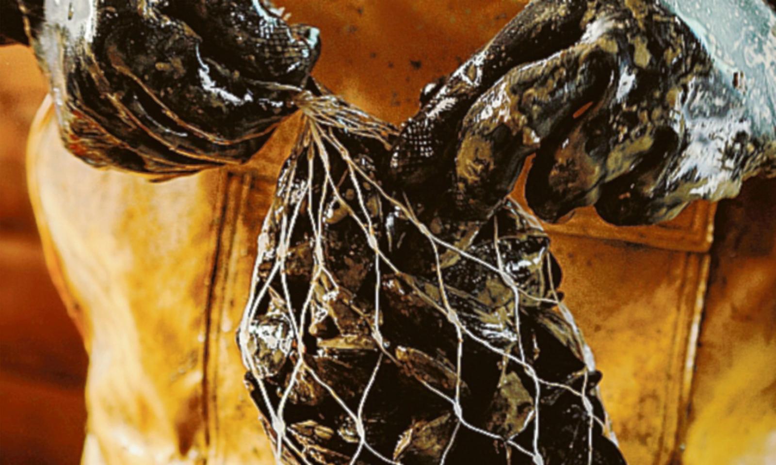 Un Guinness World Record a suon di cozze