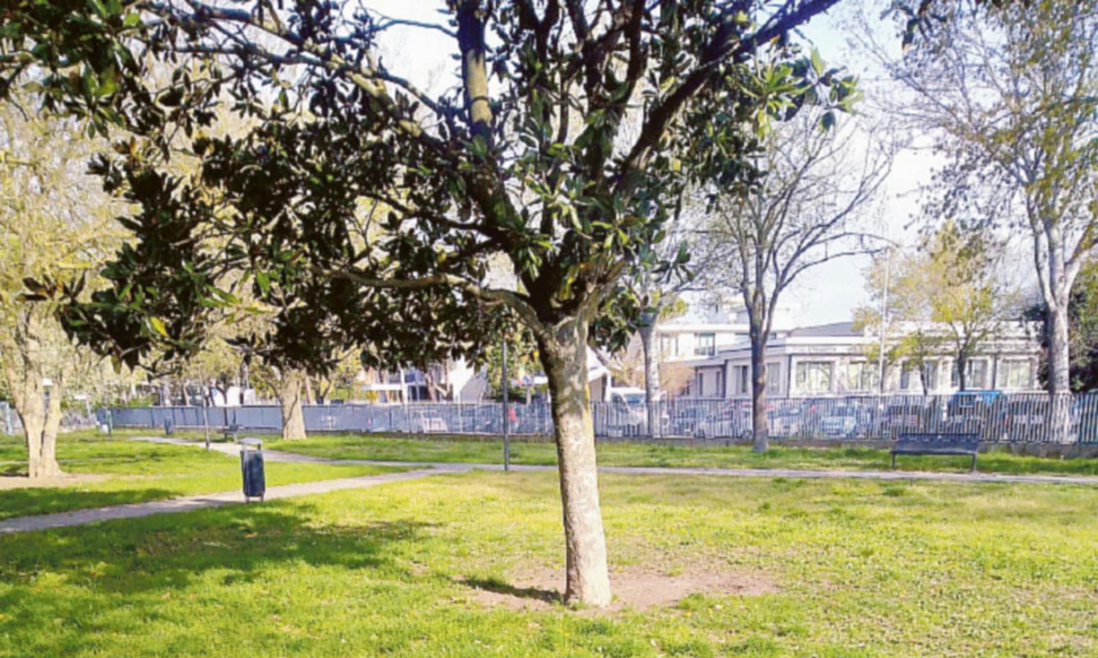 Il Comune manda una squadra a ripulire il parco