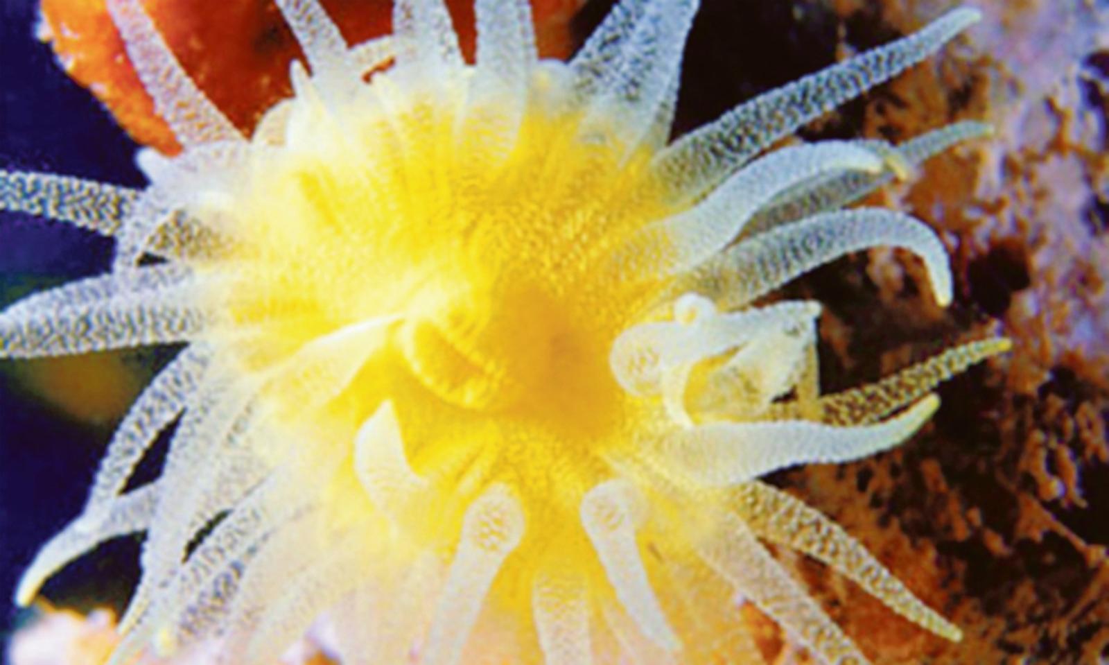 Alle Tegn&ugrave;e tornano le boe