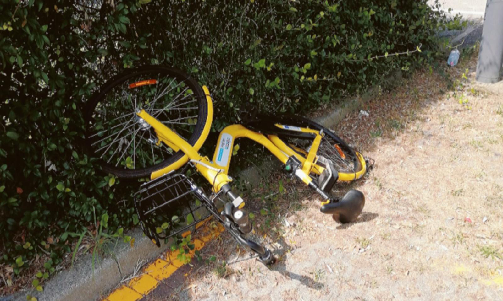 Incivile scaraventa a terra la bici del bike sharing
