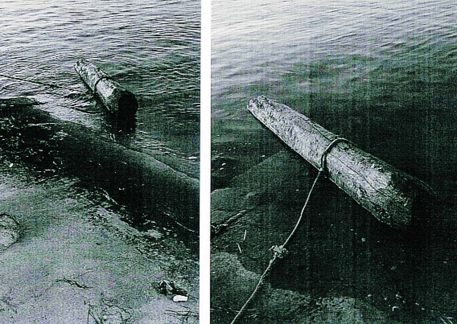 Gettano briccola in acqua... per gioco