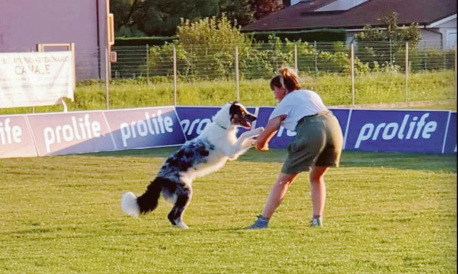 Cane e uomo in gara, assieme