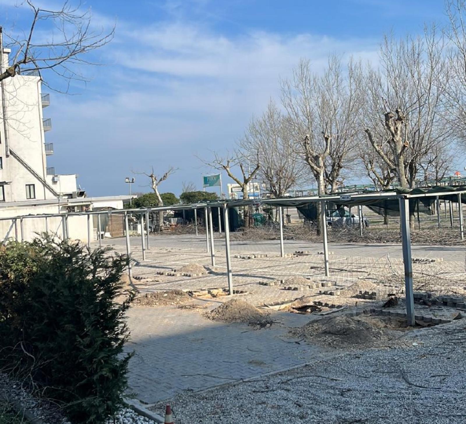 Alberi rimossi da via Colombo: erano malati