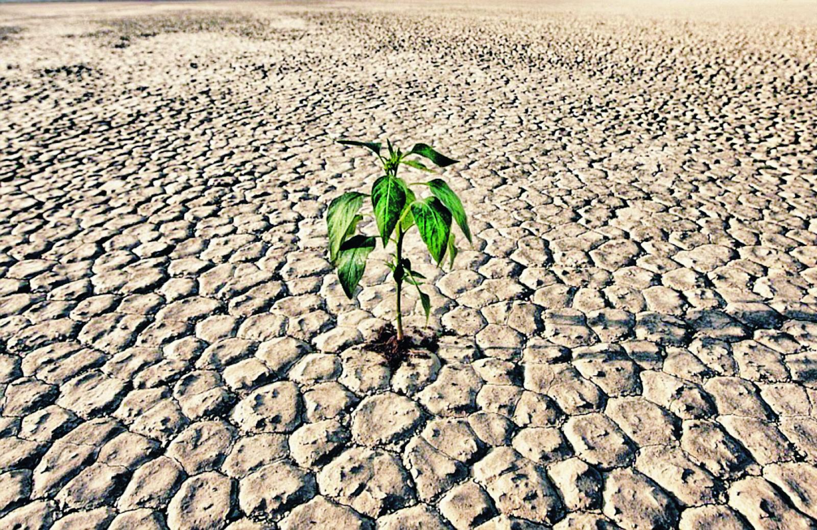 Al via i progetti per il bacino Trezze