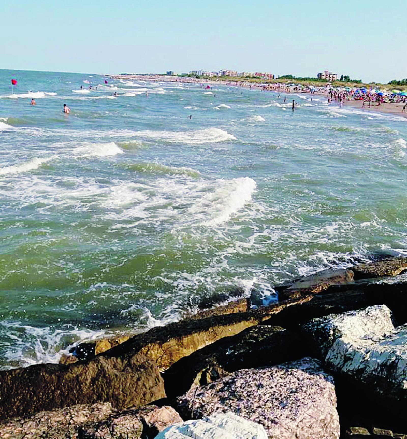 Brenta, confermata la buona salute