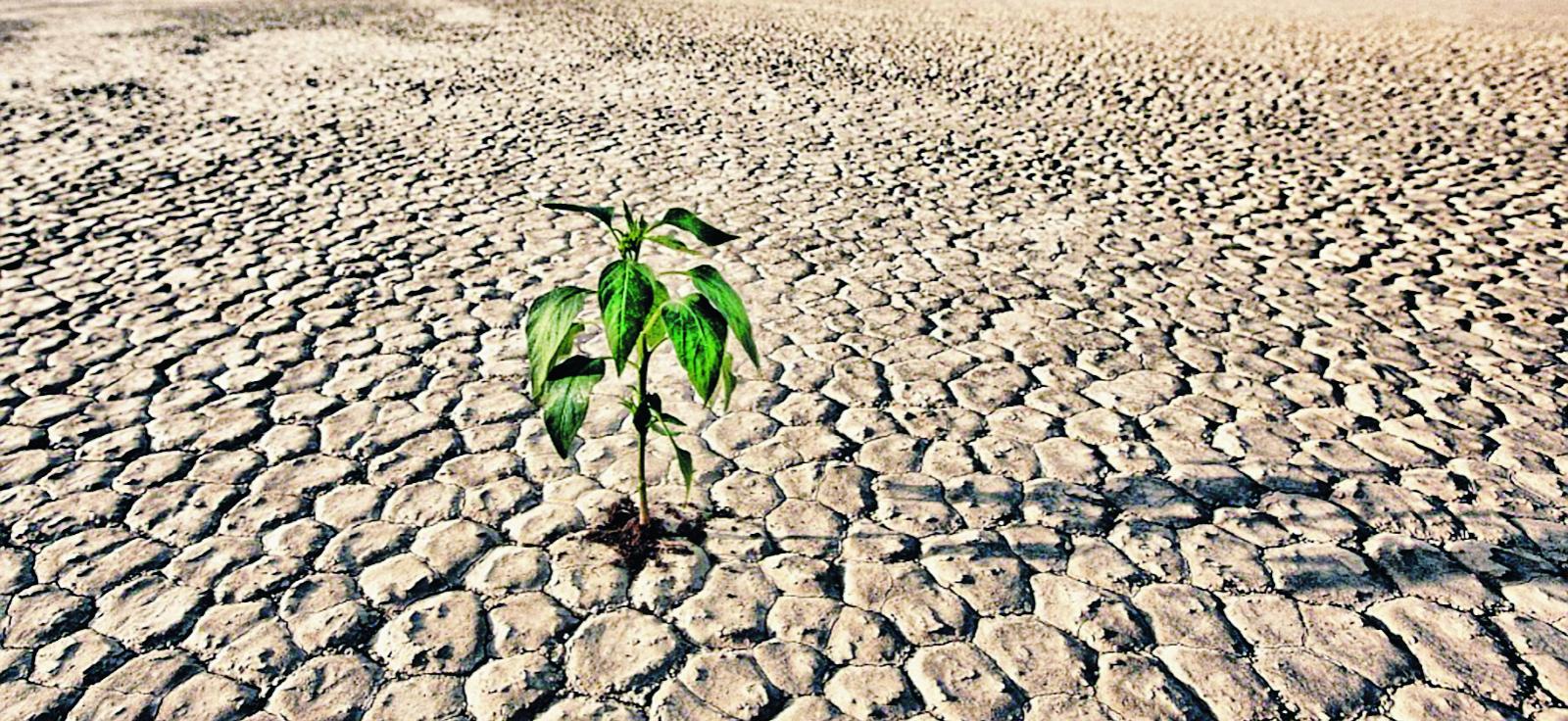 La crisi idrica qui pu&ograve; attendere