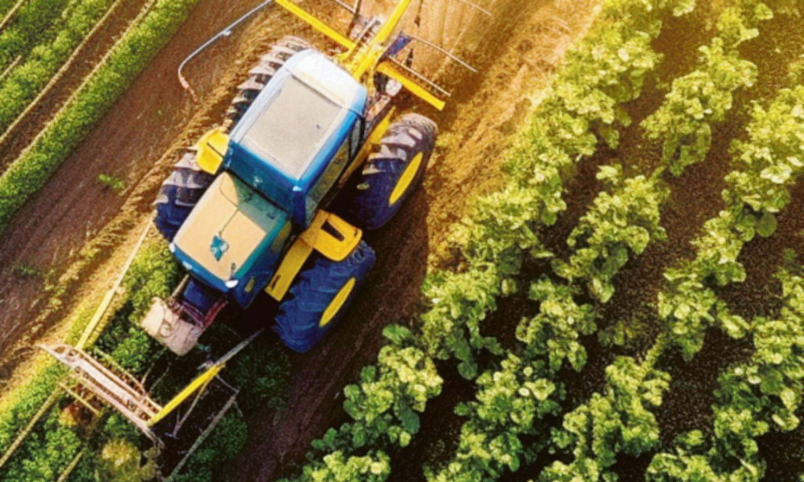 Costi e meno reddito, l'allarme degli agricoltori