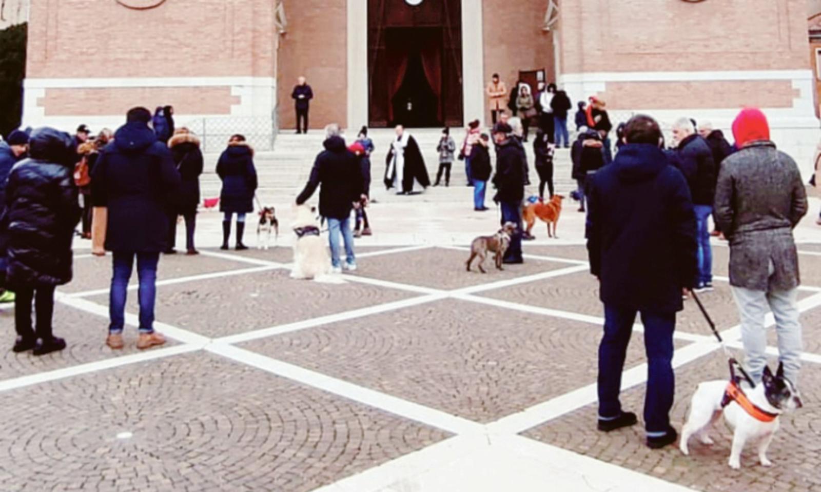 Tantissimi Fido benedetti in duomo