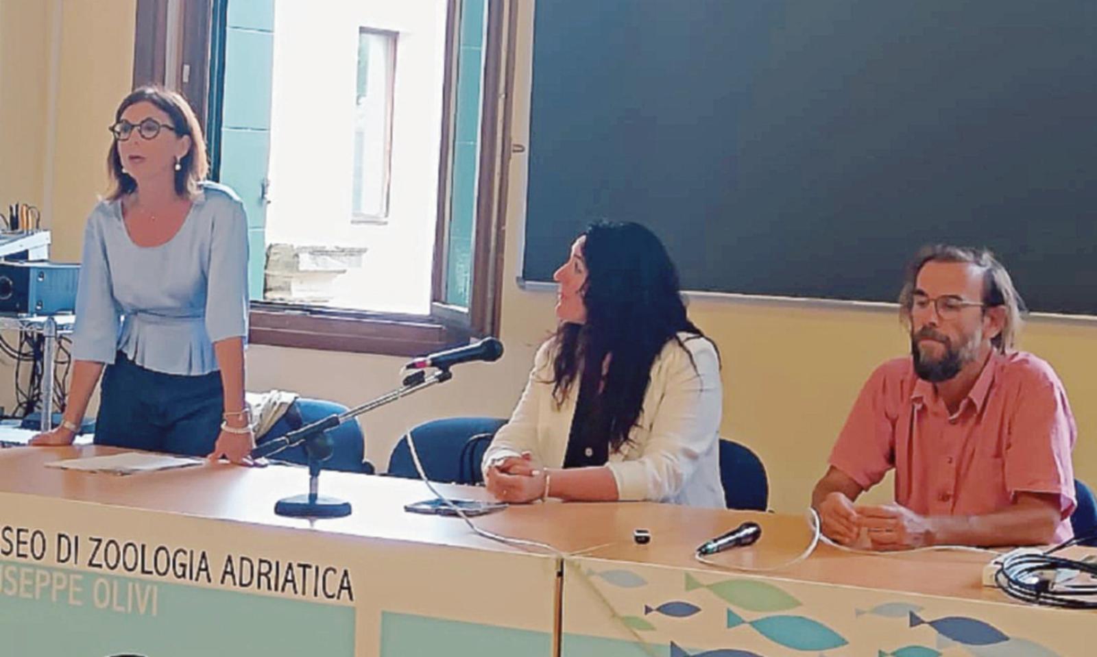 Laguna Sud, adesso le proiezioni entrano nel vivo