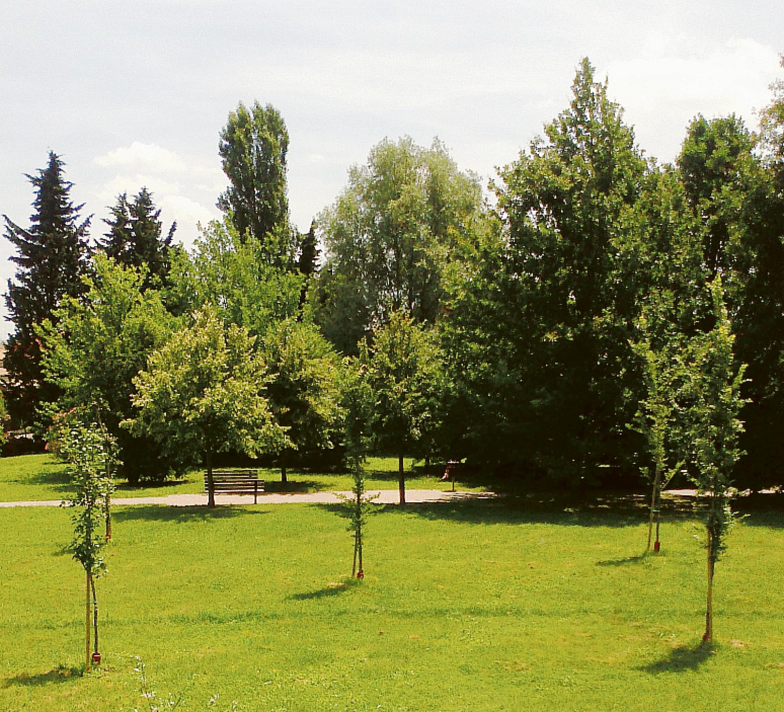 Continua la raccolta firme per una citt&agrave; pi&ugrave; sostenibile