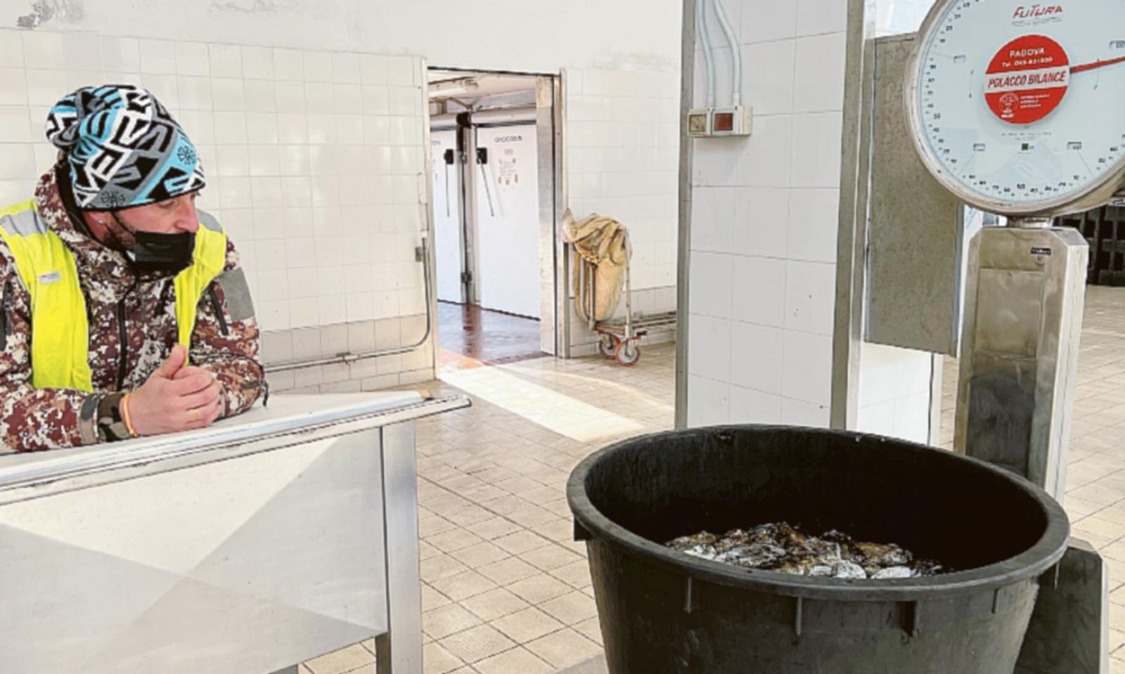 Polo ittico, &ldquo;non c&rsquo;&egrave; chiarezza&rdquo;