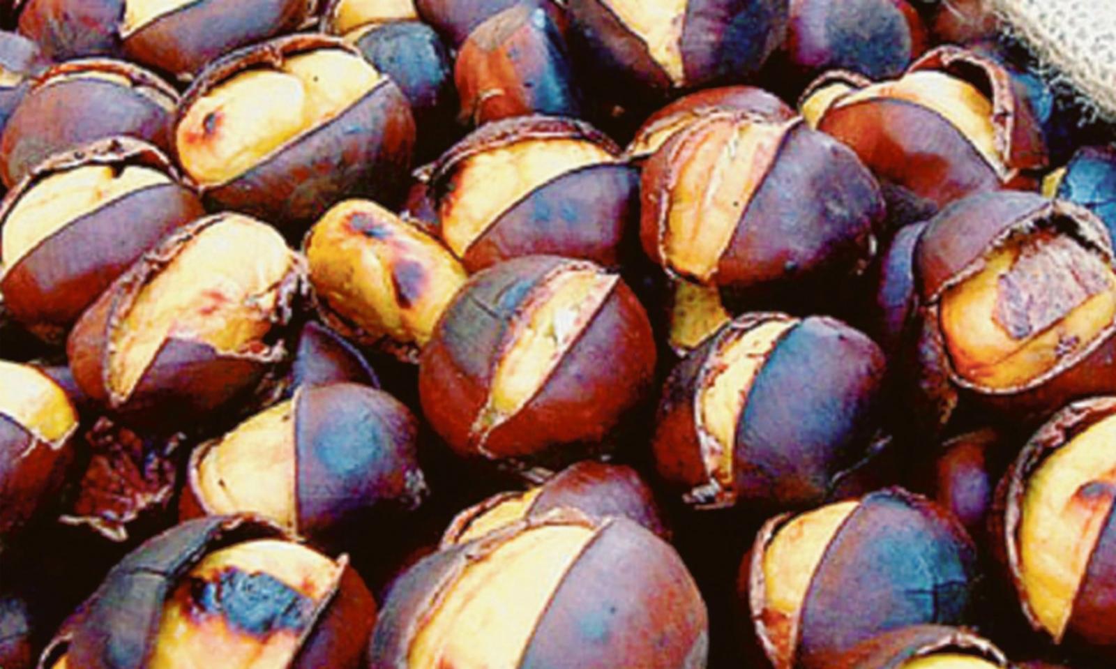 Castagne, miele, vino e bellezza