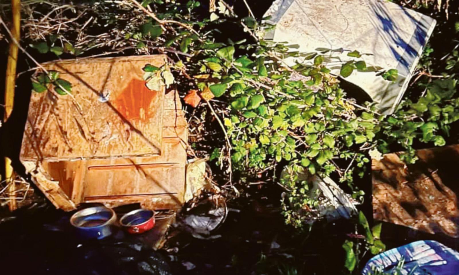 Vandali distruggono i ripari dei gatti 