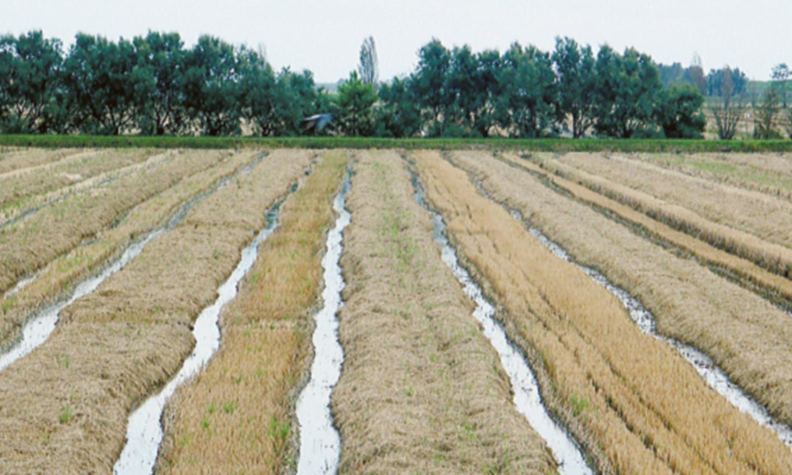 Risparmio da 900mila metri cubi d&rsquo;acqua